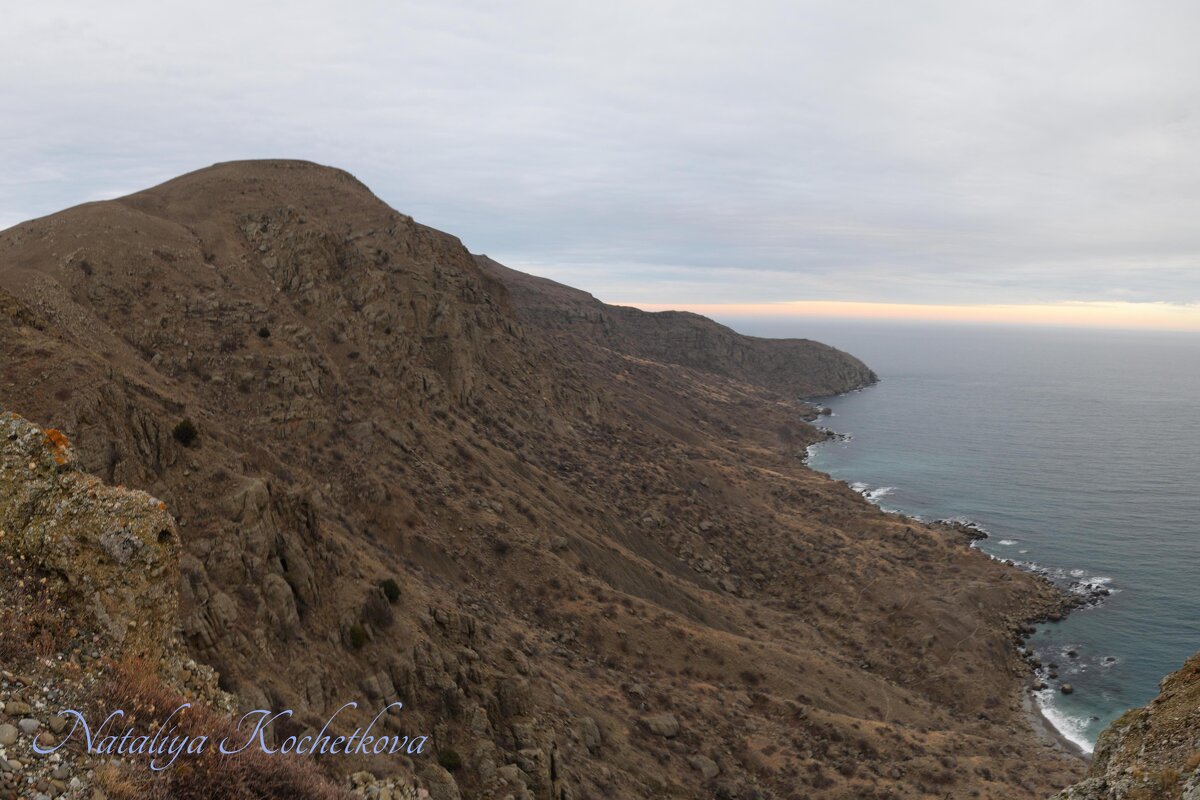 Природа Крыма - Amazing Cosmea