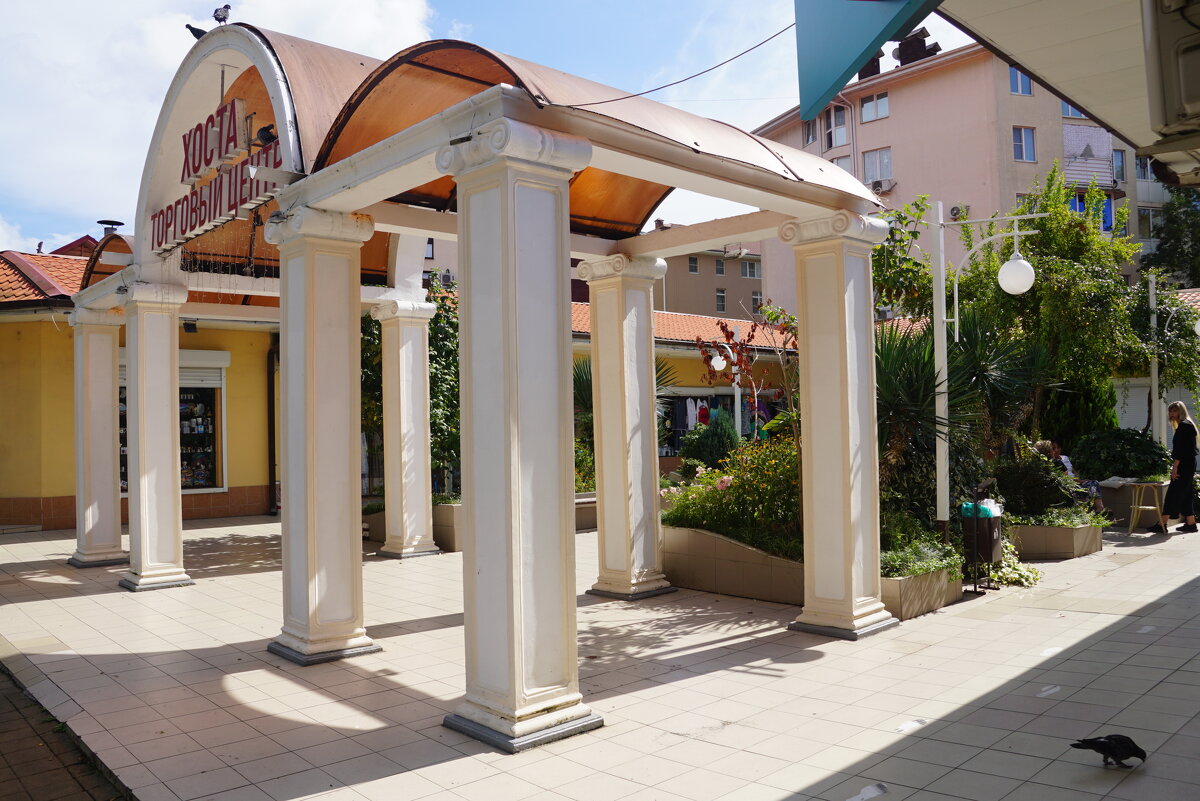 Хоста-рынок - Наталия Григорьева