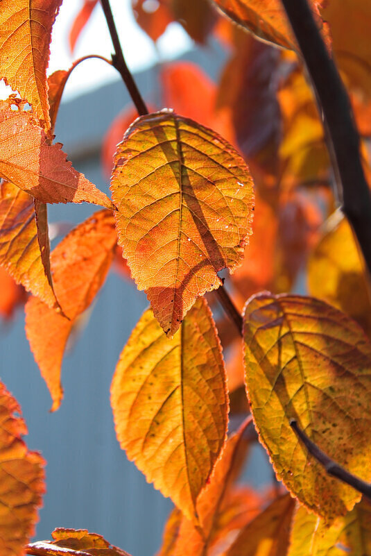 ... - Наталья 