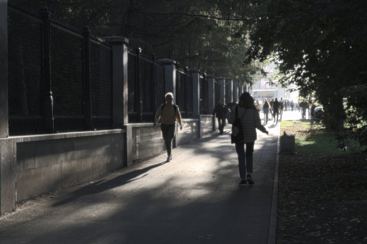 Выйти из тени. - Сергей Сергеев