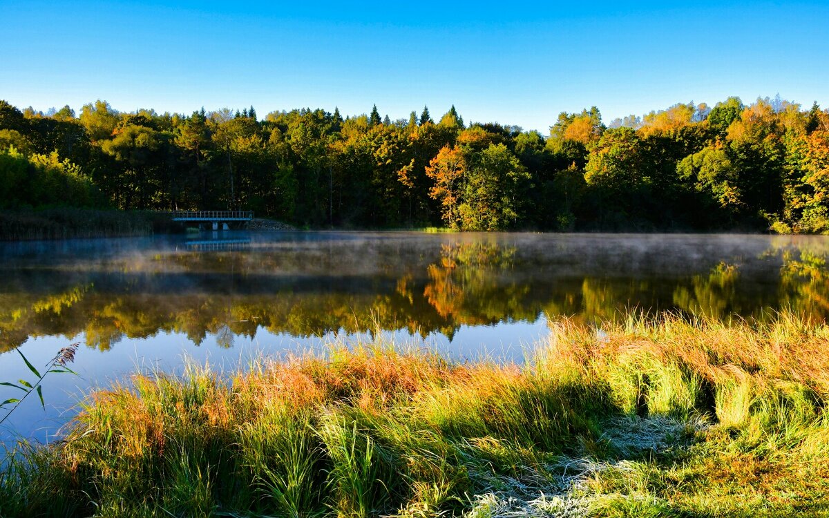 Краски осени. - Милешкин Владимир Алексеевич 