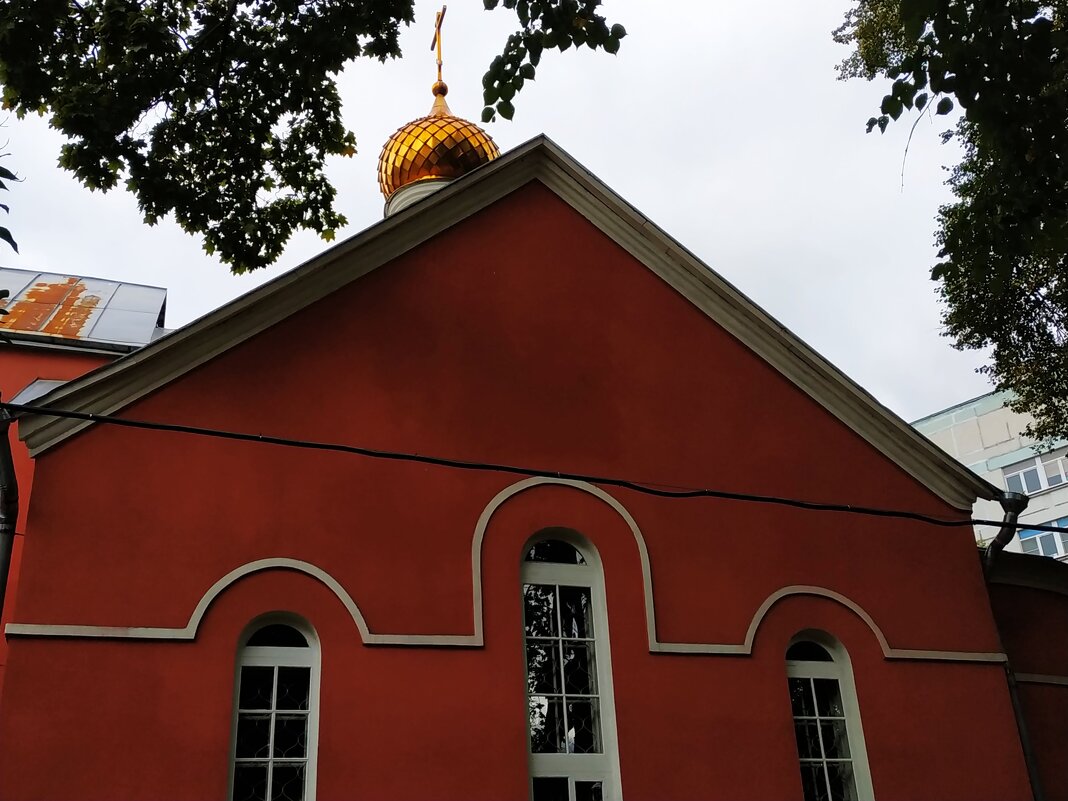 Перед встречей с моим любимым доктором (докторшей) - гуляю - Андрей Лукьянов