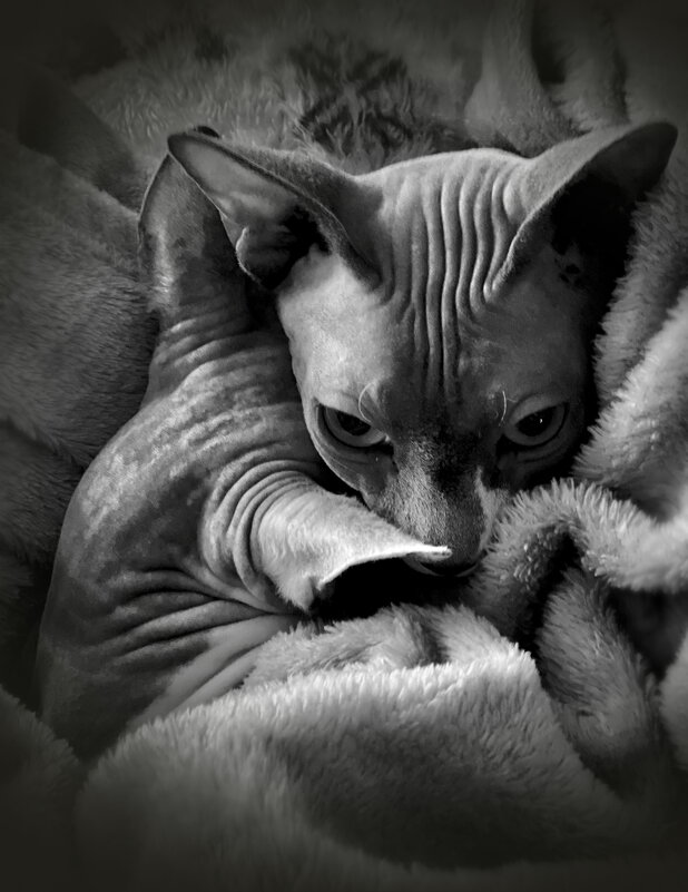 Не грусти , включат нам паровое ..... - Андрей Зайцев