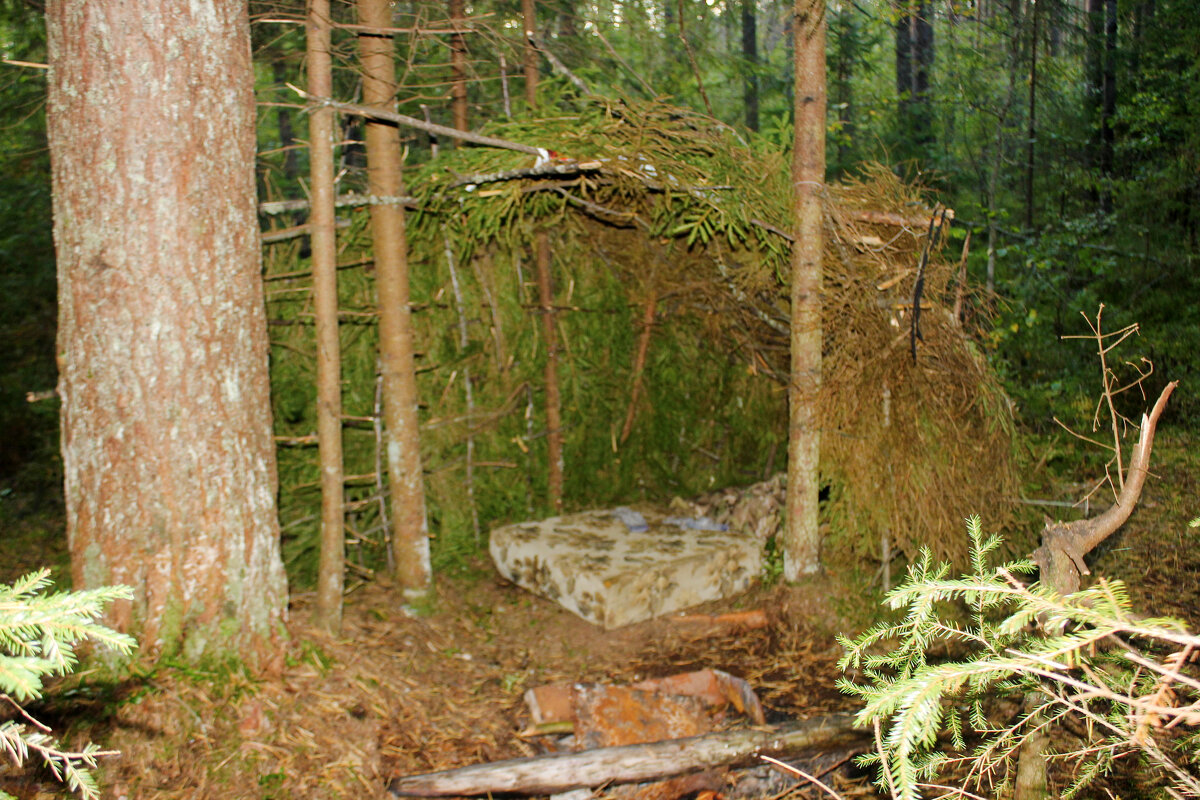 ** - Сергей Кочнев