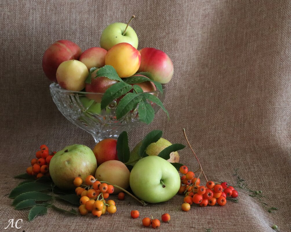 Дары осени - Любовь Сахарова Дары осени - Любовь Сахарова