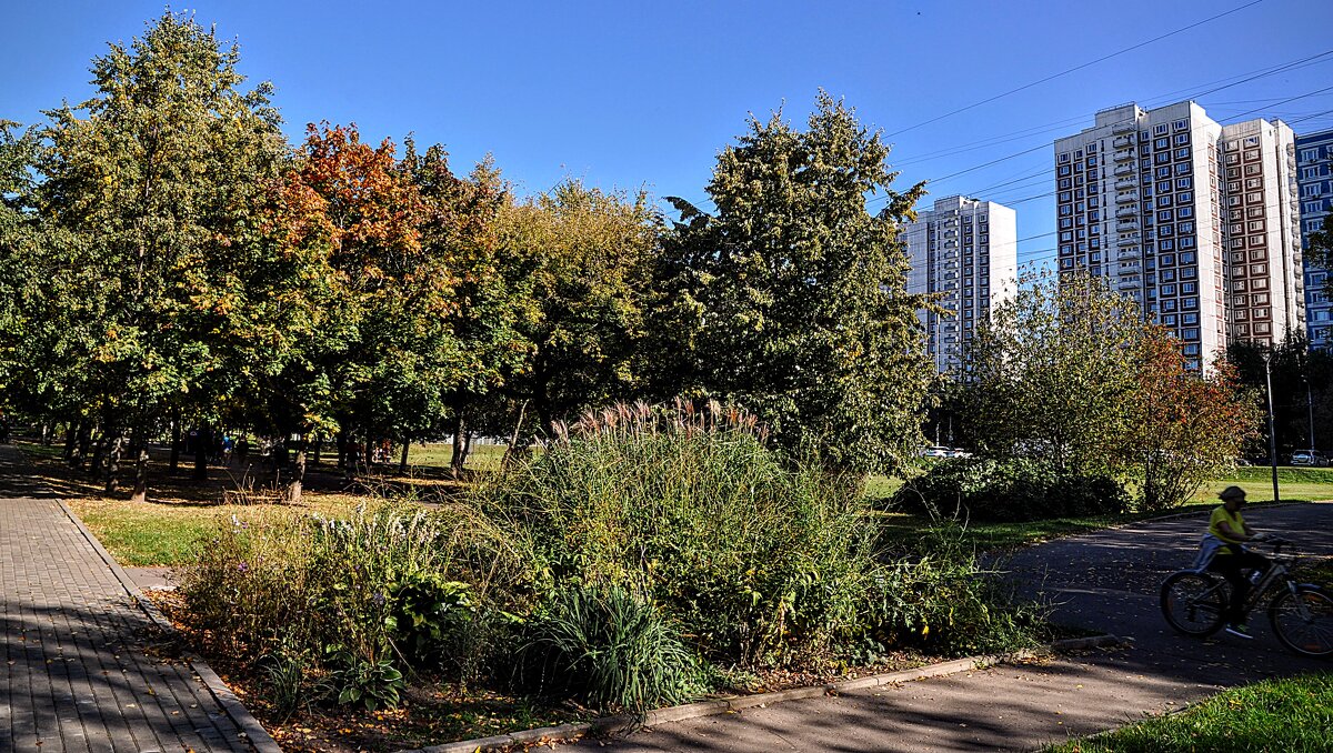 А вот и дом - следит за мной,,,) - Анатолий Колосов