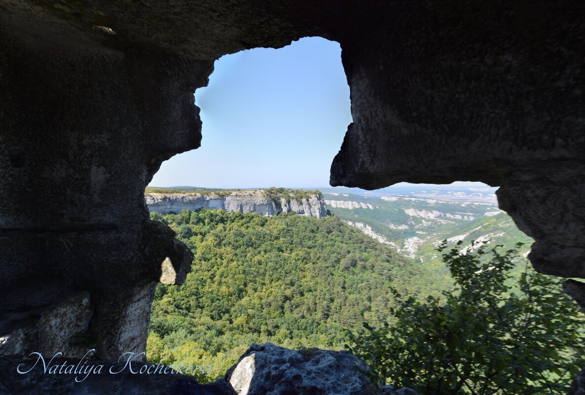 Природа Крыма - Amazing Cosmea