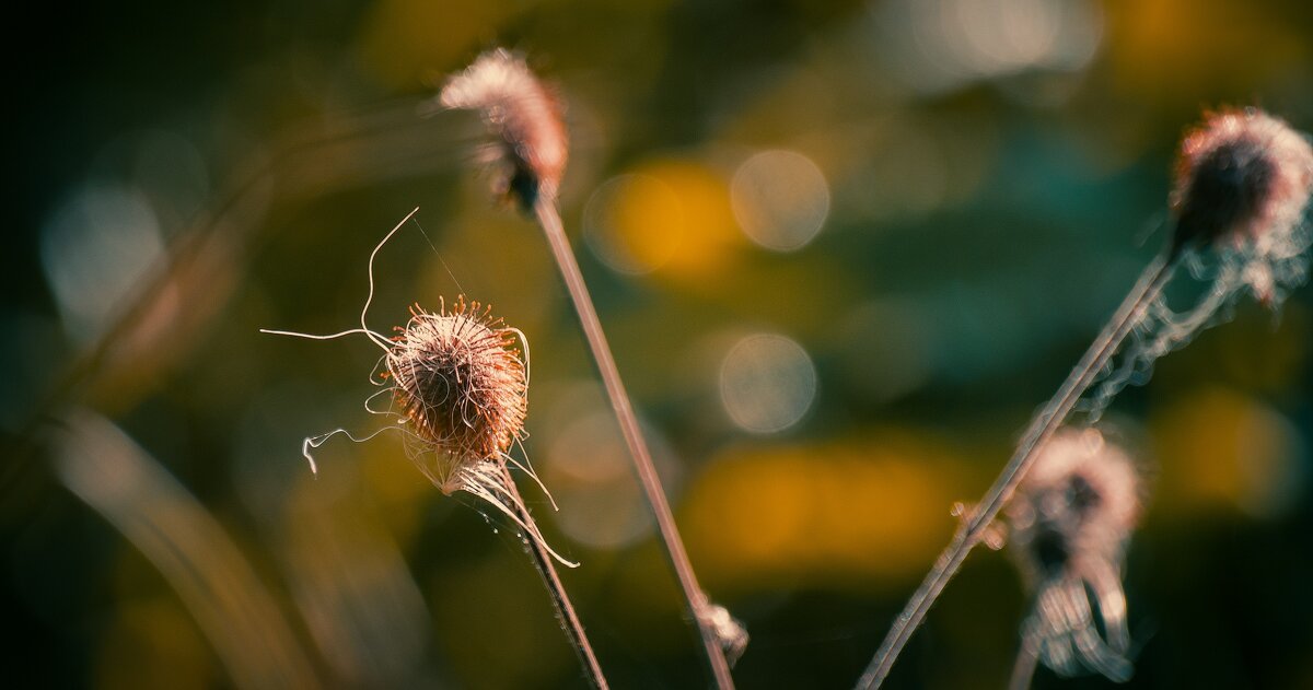 *** - Виктор Иванович Чернюк
