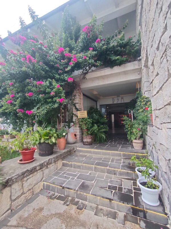 В Сухуме - Ирэн 