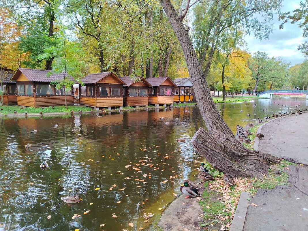 Самара. Парк им. Гагарина - Надежда 