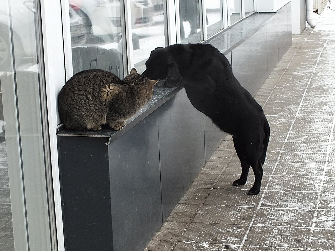 ** - Зоя Мишина