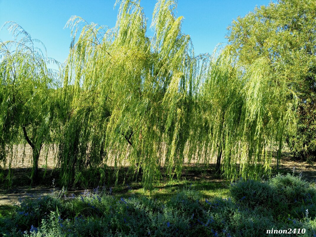 В ростовском экопарке Первая миля - Нина Бутко