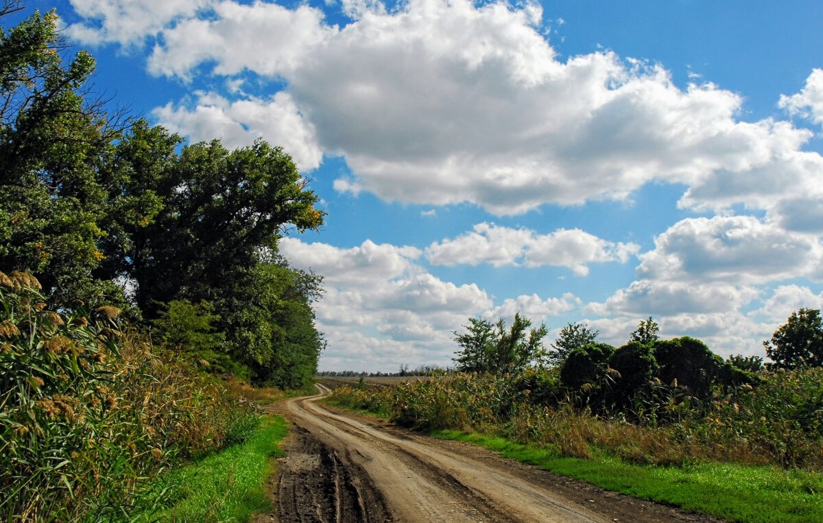 Сентябрь. - Владимир 