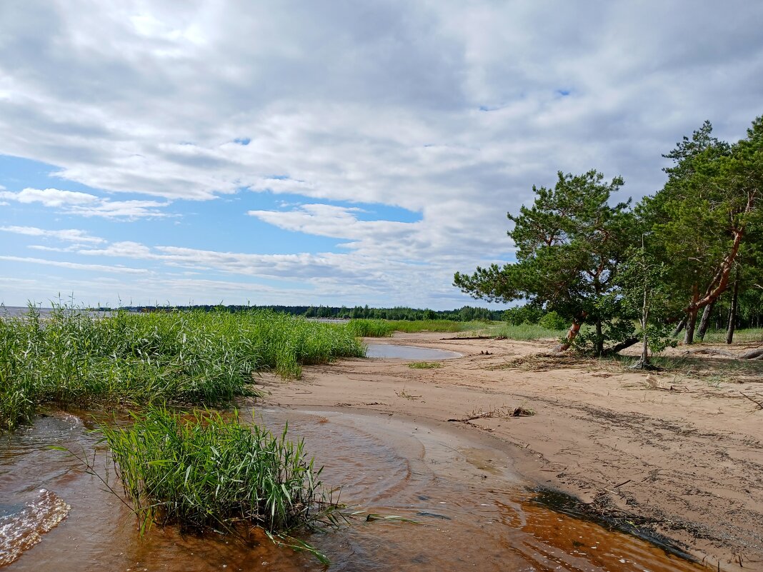Берег Финского залива. - Лия ☼