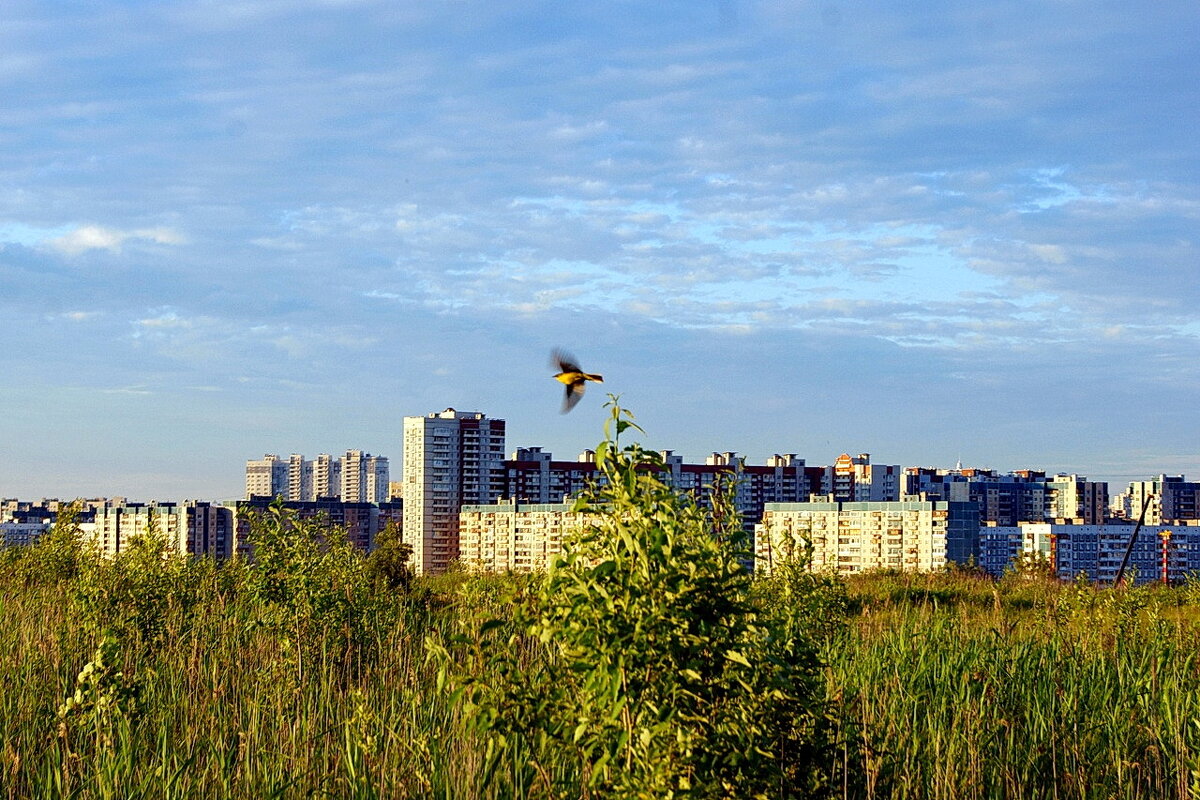 В полёте... - Игорь Тельцов