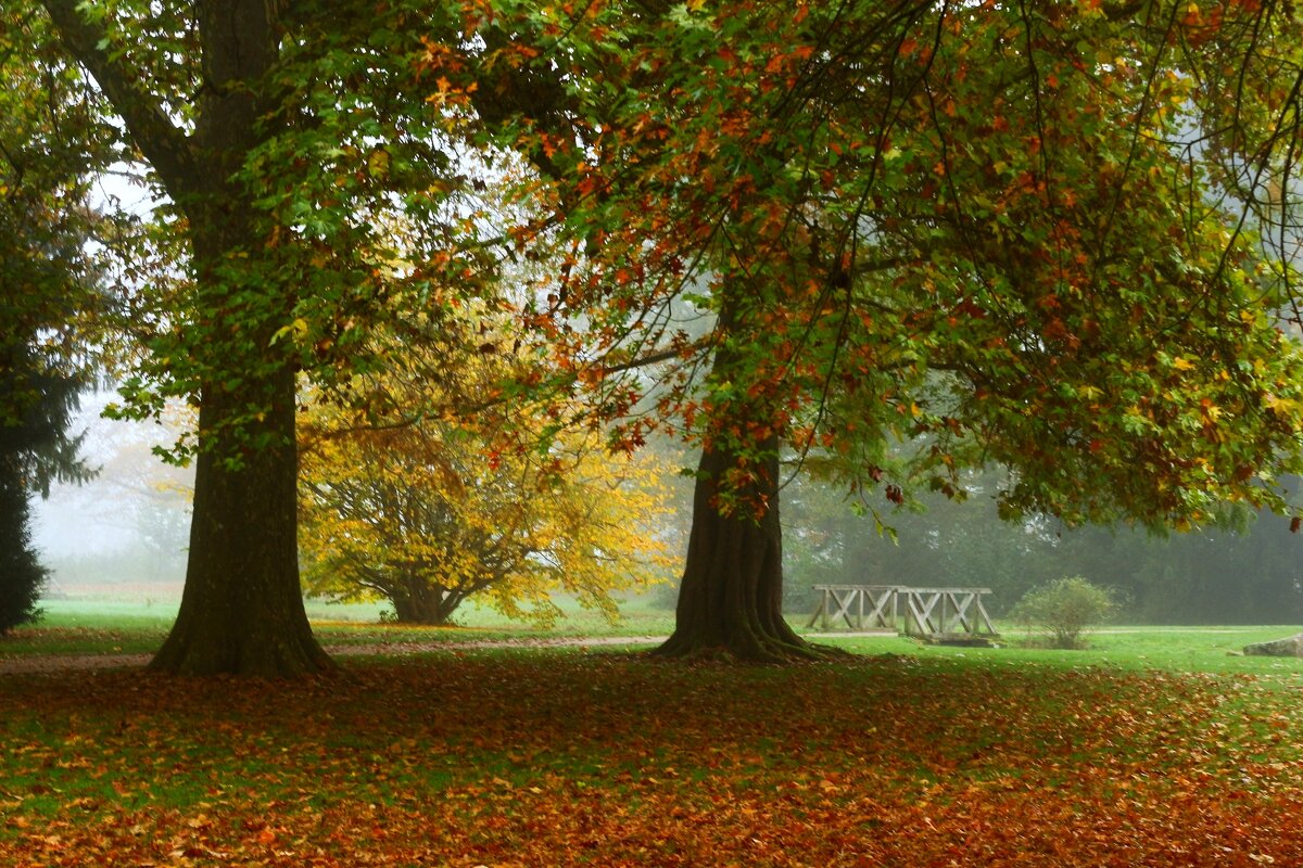 Осенний этюд - Юрий. Шмаков