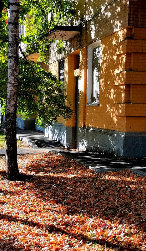 Цвет осени - Любимова Ольга 