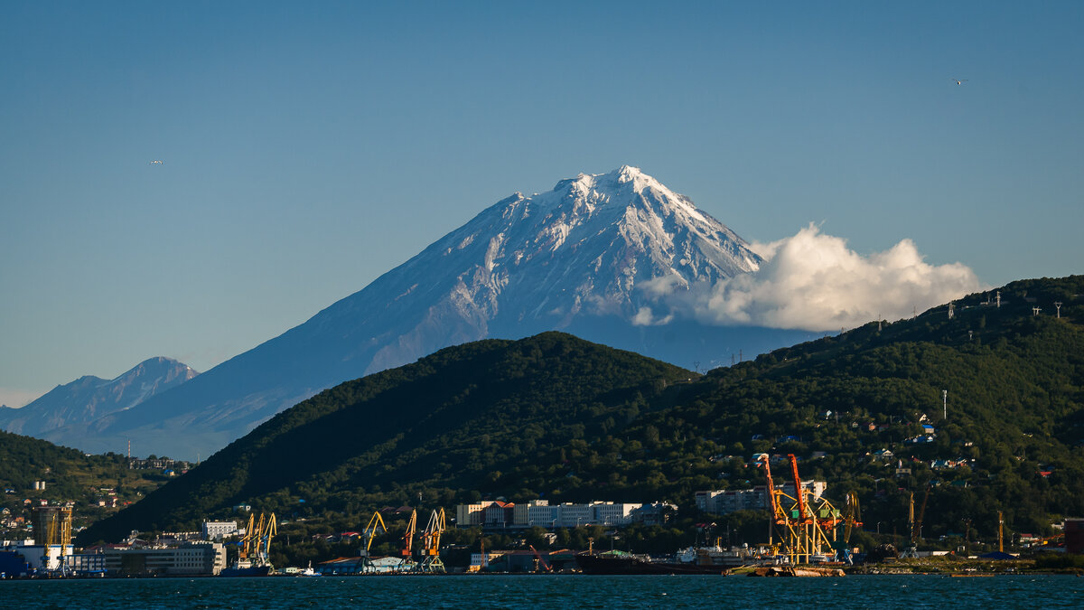 ... - Жора Житников