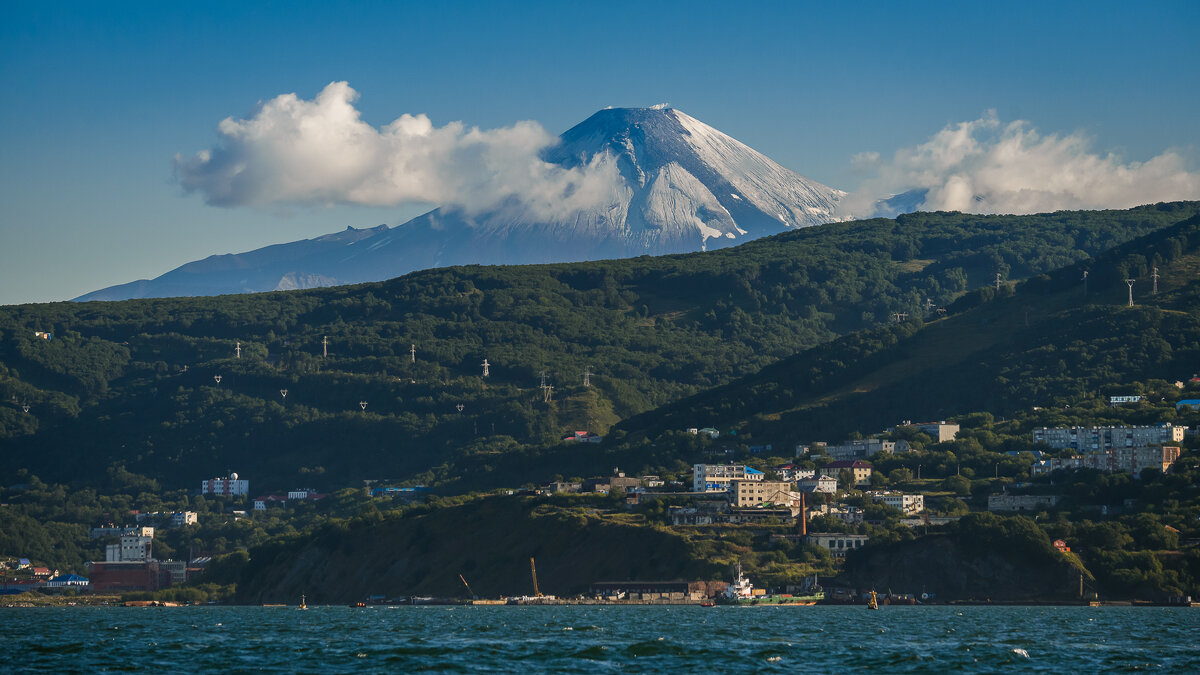 ... - Жора Житников