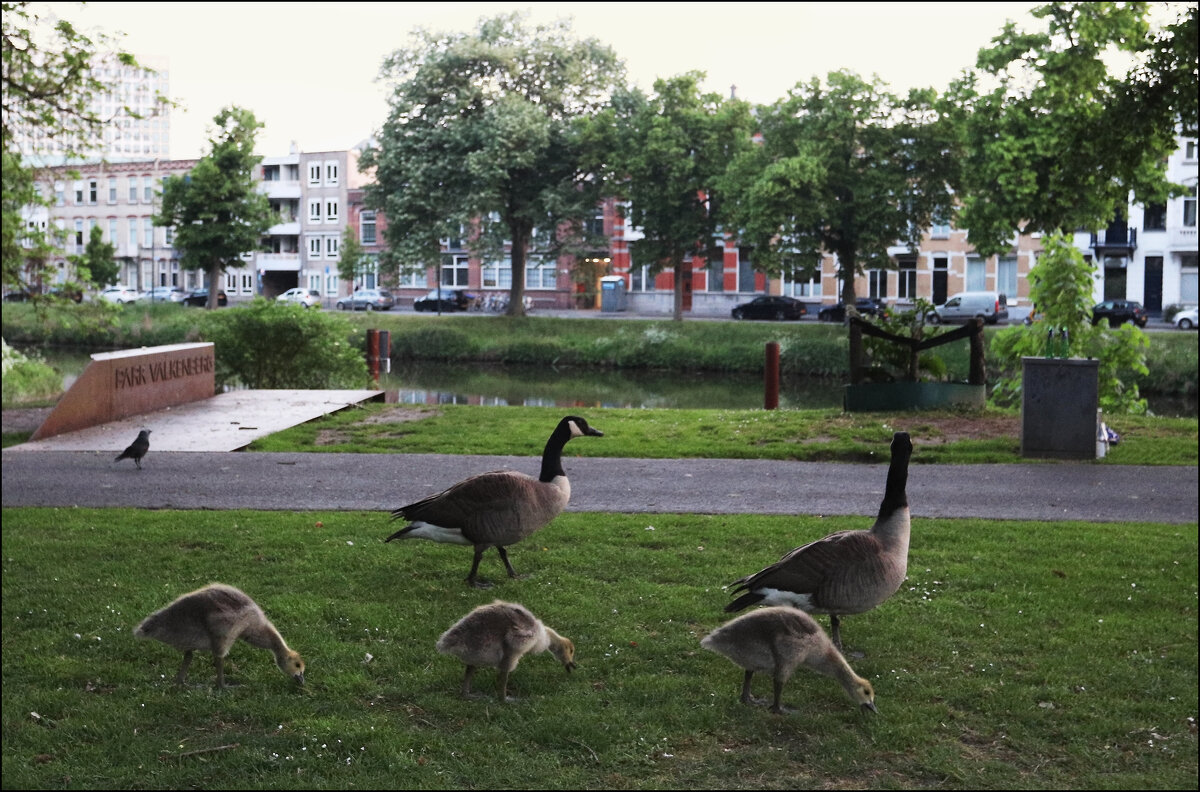 Семейный завтрак в парке города Бреда. - Валерий Готлиб