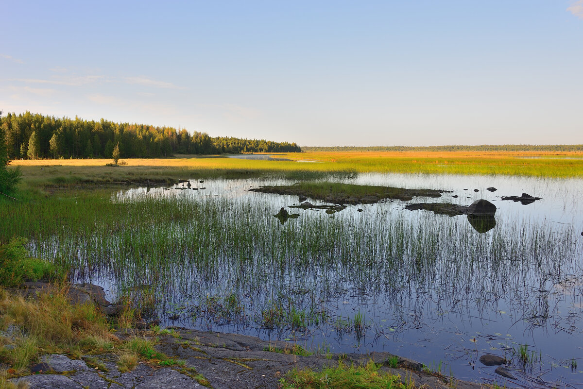 ** - Александр Хаецкий