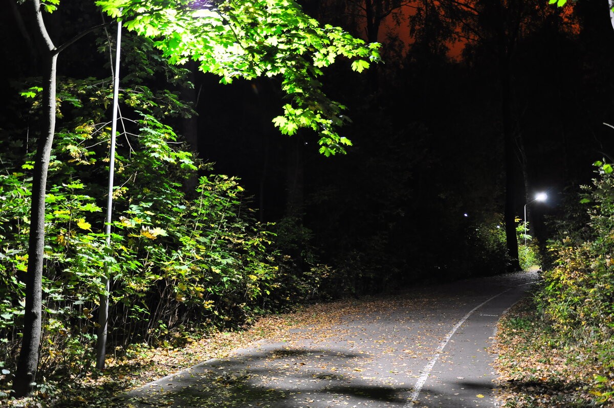 Осень в парке - Александр Конов