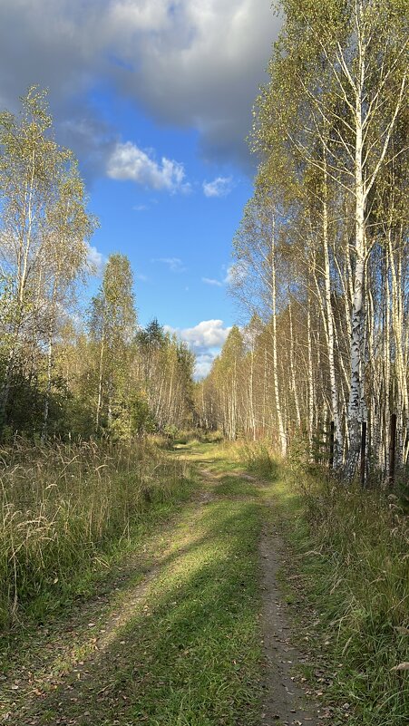 Сентябрь - Натали Королева