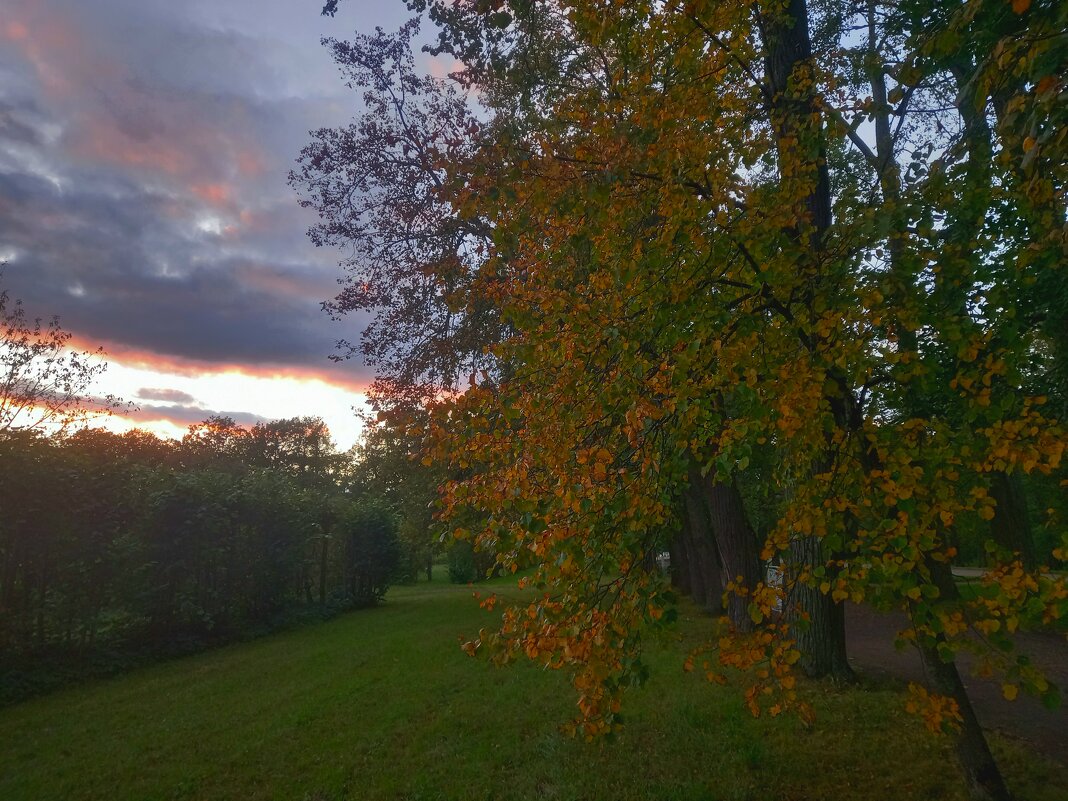 Закат - Сапсан 