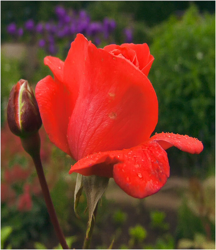 Летний этюд - Валентин Котляров