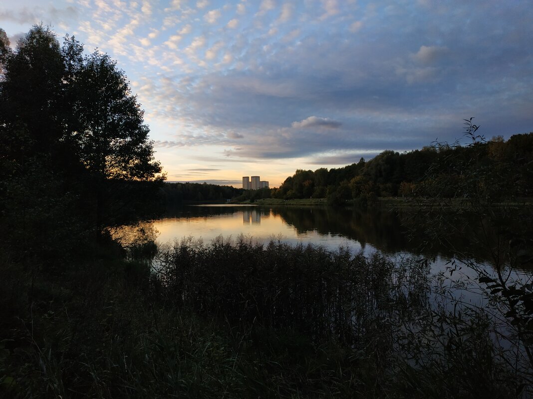 Закат на пруду - Андрей Лукьянов