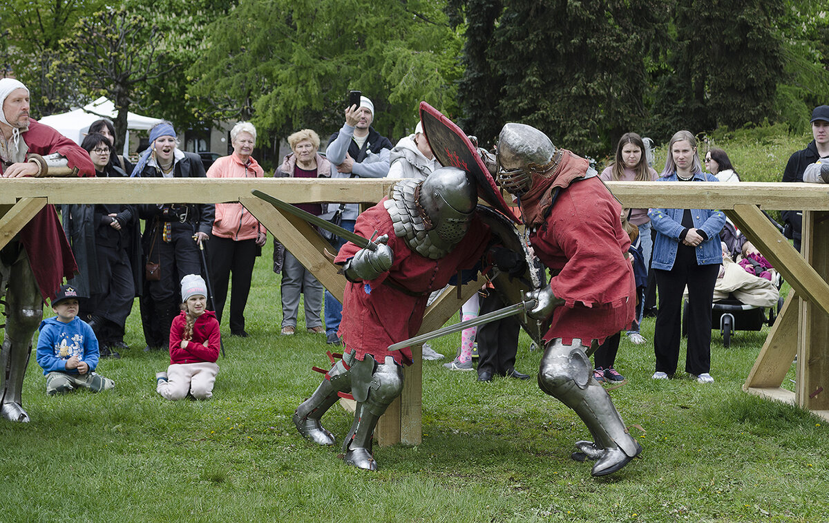 Рыцарский бой - Регина 