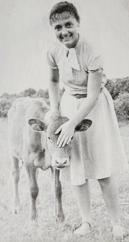 Телятница - Георгиевич 