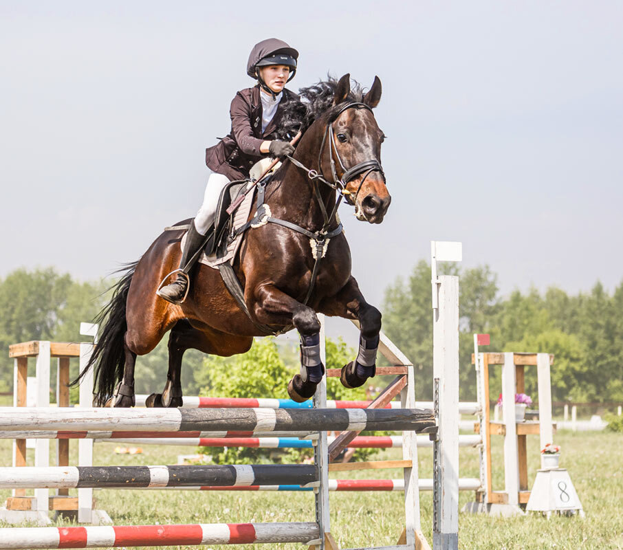 Конкур - SanSan 