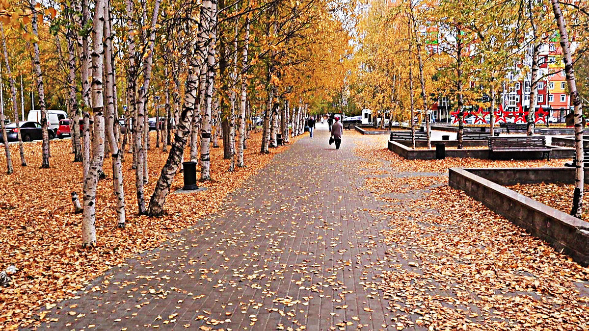 Симфония осени! - Владимир 