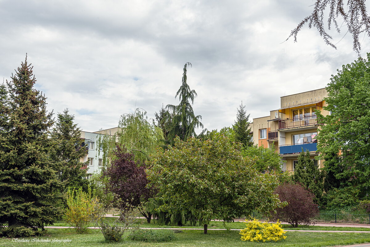 Новы Двур Мазовецкий - Светлана Ищенко