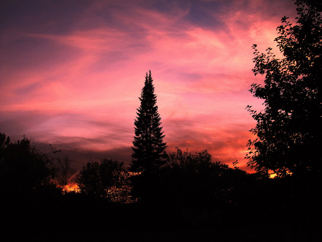 Сентябрьский вечер - Людмила Смородинская