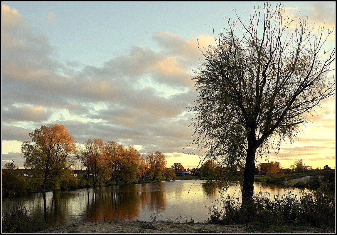 *** - Aleksandr Gal *** - Aleksandr Gal