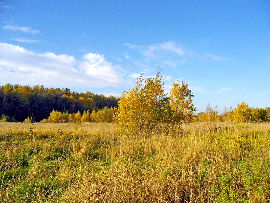 Разбросала осень краски. - Лия ☼ Разбросала осень краски. - Лия ☼