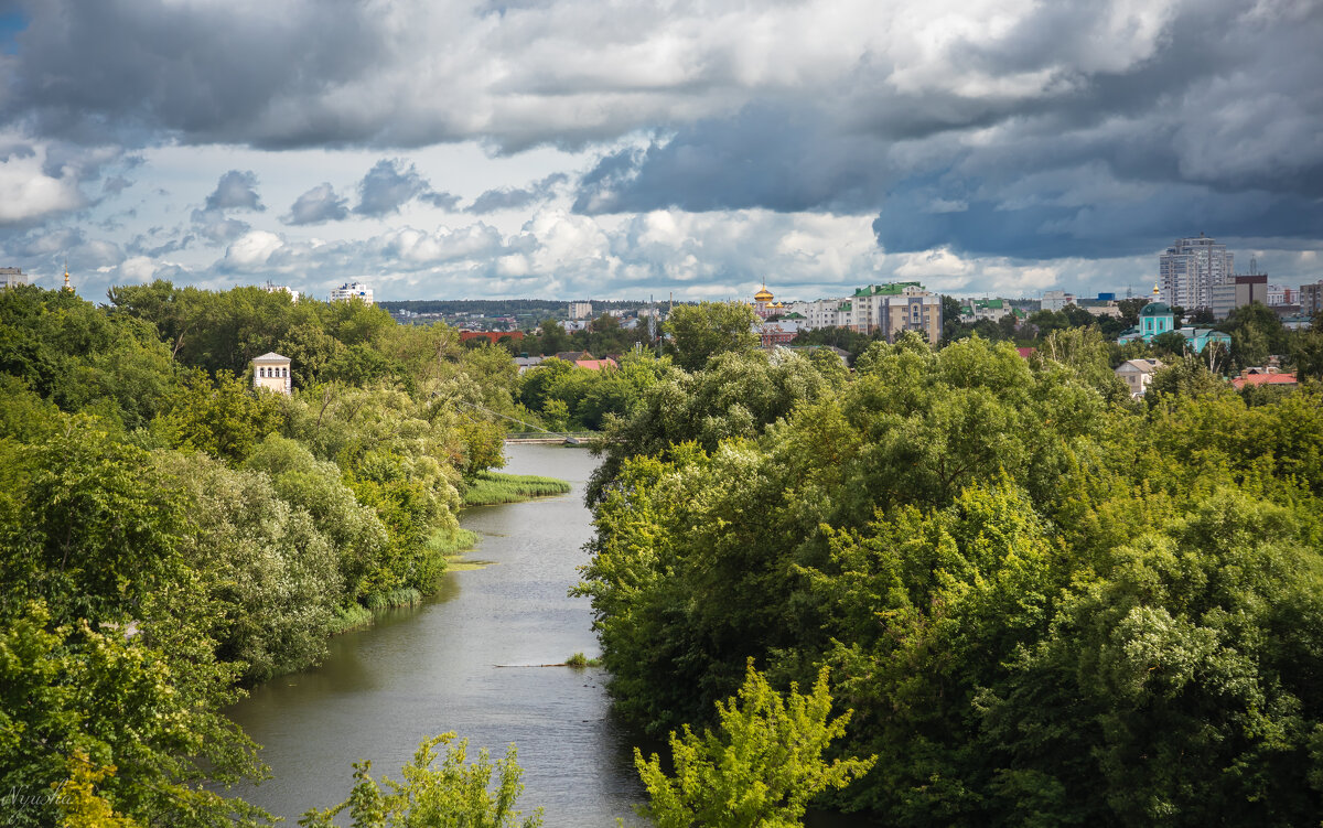 Орлик - Nyusha .