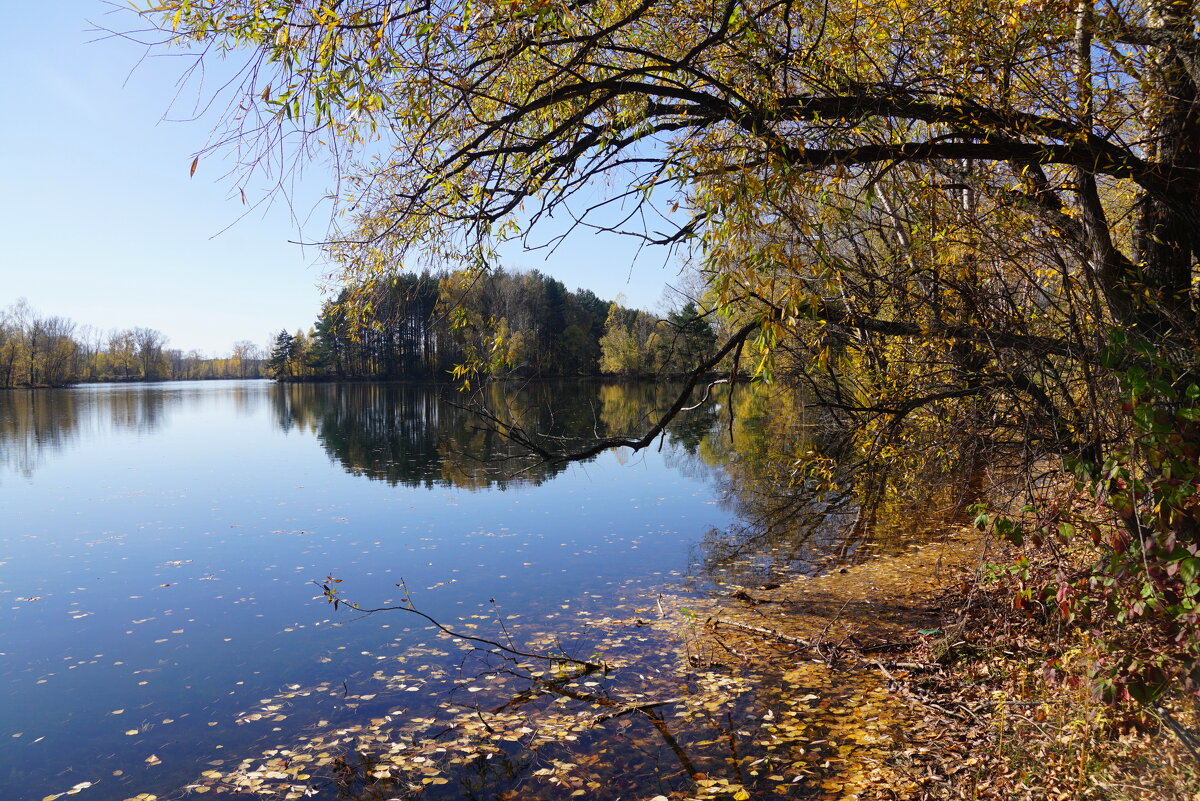 Осеннее - Наталия Григорьева Осеннее - Наталия Григорьева