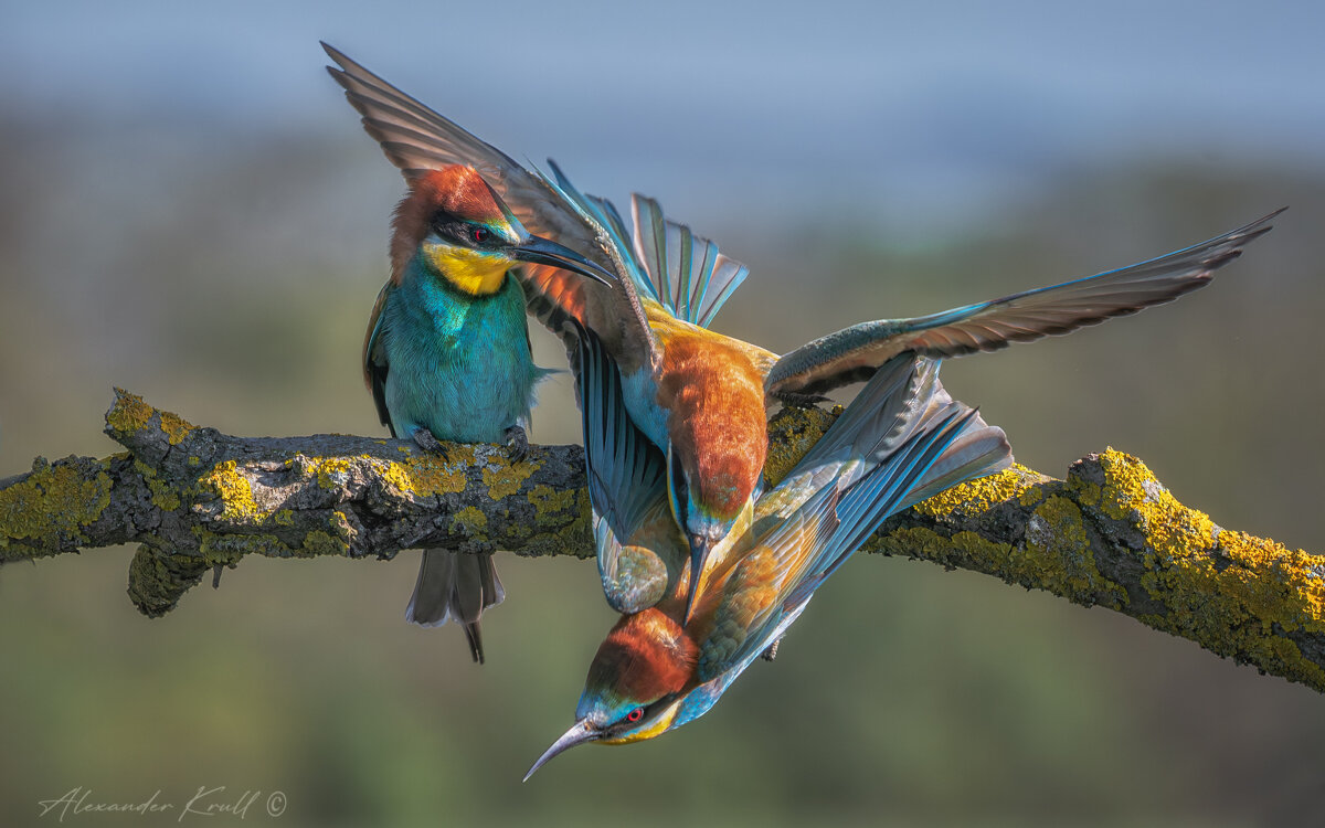 Изгнание - Александр К.
