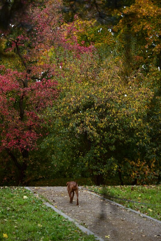 Парк Дружбы - Мария Яковлева