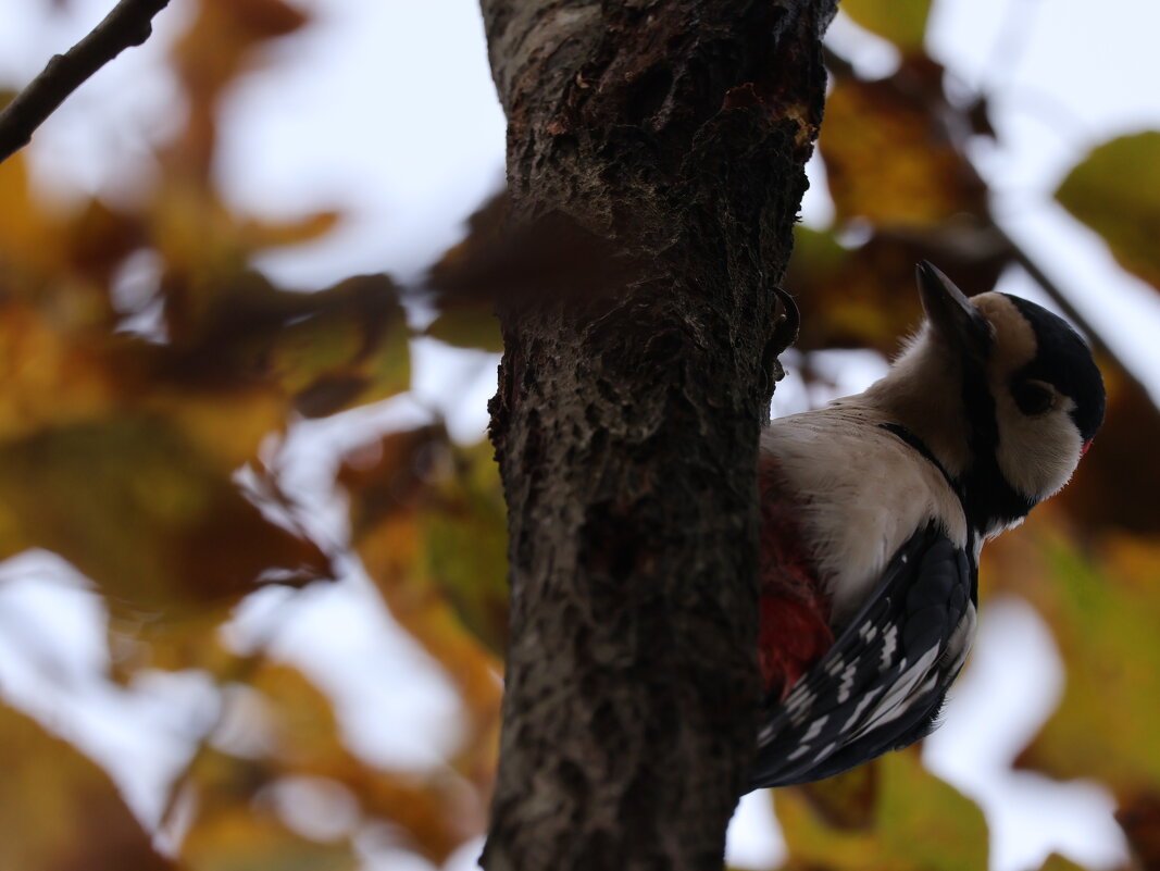 Любуетесь мною? - Иван Ермен
