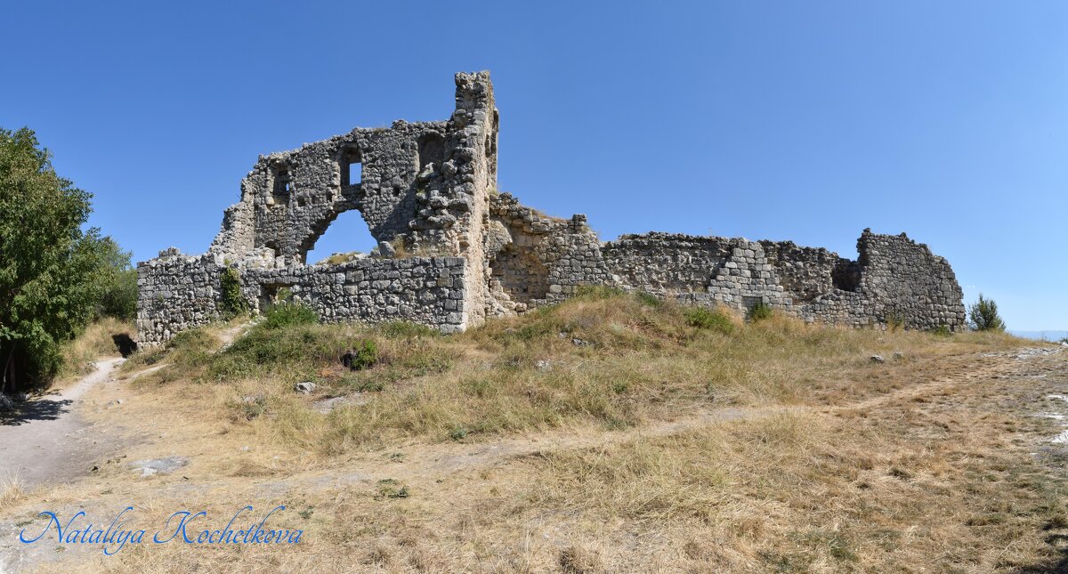 Природа Крыма - Amazing Cosmea Природа Крыма - Amazing Cosmea