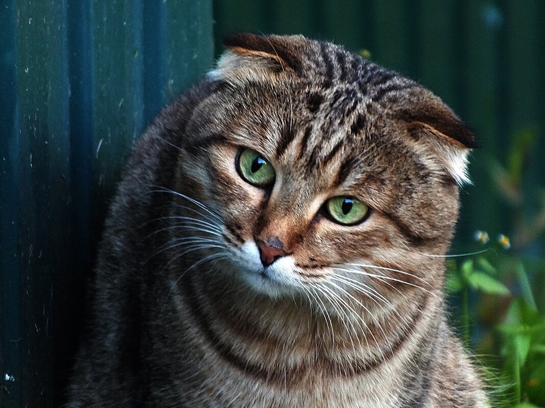 ** - Зоя Мишина