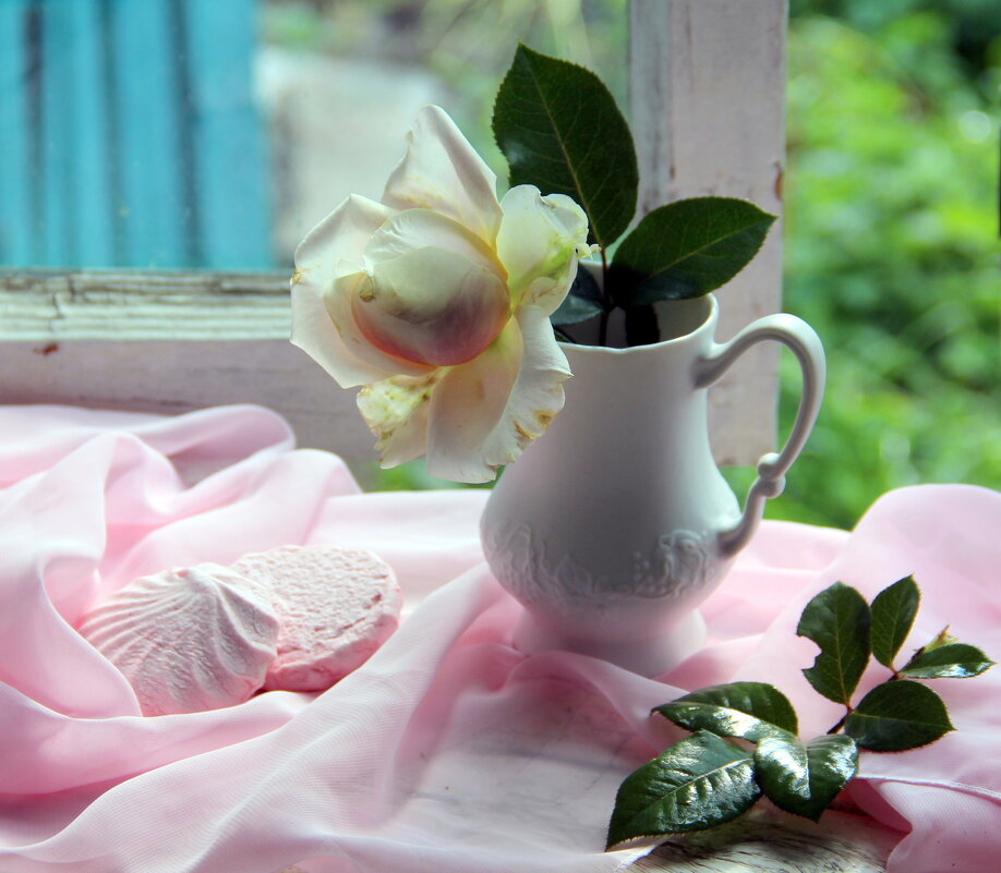 Натюрморт! - жанна нечаева