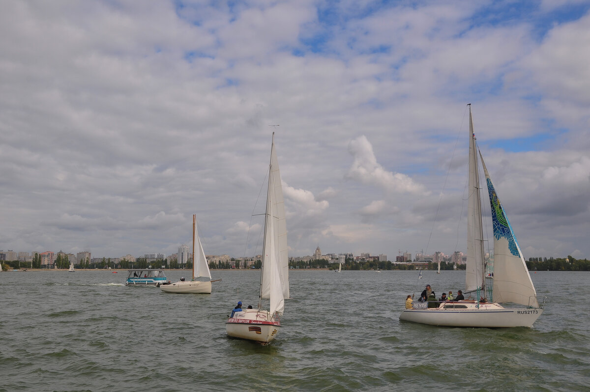 Паруса - Татьяна Машошина