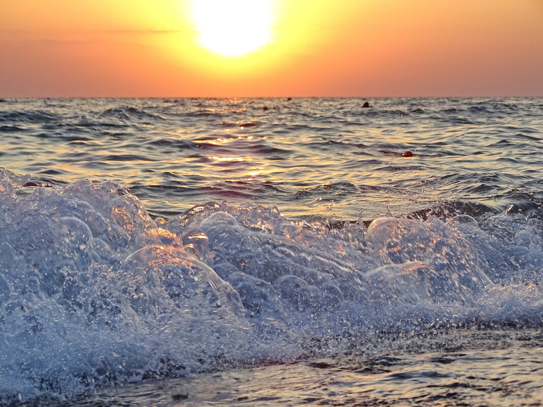 Живая вода - Павел Трунцев Живая вода - Павел Трунцев
