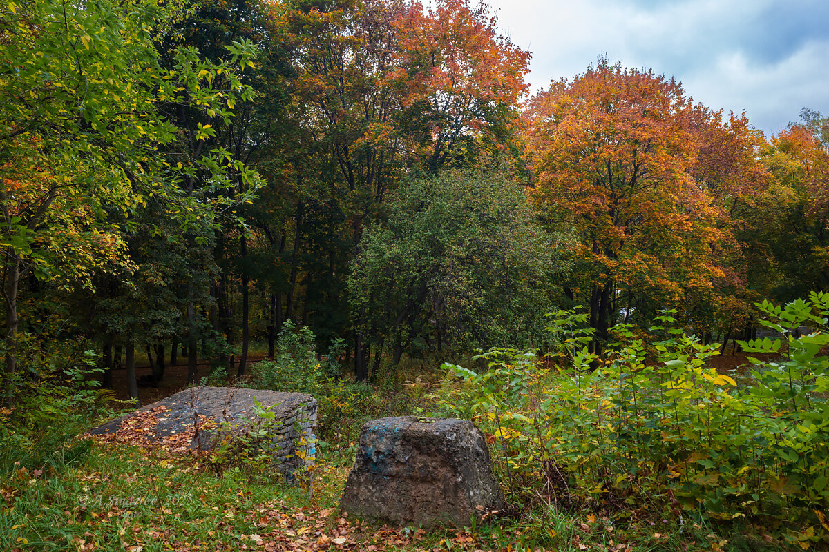 Природа осени - Александр Синдерёв