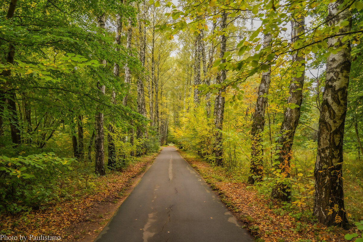 В осеннем парке... - Владимир Жданов В осеннем парке... - Владимир Жданов